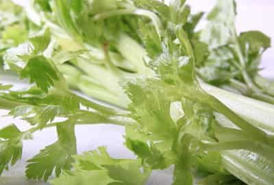 春季瘦身减肥食物有哪些,怎样吃的养生又瘦身 饮食减肥 第6张-瘦瘦减肥网 春季瘦身减肥食物有哪些,怎样吃的养生又瘦身 饮食减肥 第6张