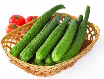 懒人黄瓜瘦身减肥法，五款食谱让你瘦到尖叫 懒人减肥 第3张