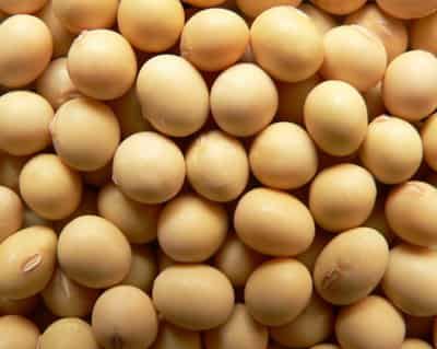 八种丰胸减肥瘦身食物，营养美味健康快速甩肉 丰胸 第1张