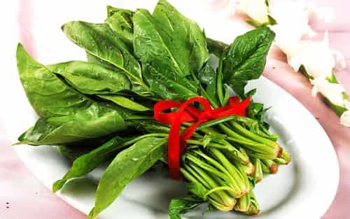 哪些食物可以减肥，四大快速瘦身食物猛吃也不胖 饮食减肥 第2张