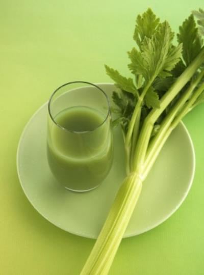 懒人快速减肥食谱推荐,芹菜减肥法帮助肠道排毒最有效 快速减肥 第1张-瘦瘦减肥网 懒人快速减肥食谱推荐,芹菜减肥法帮助肠道排毒最有效 快速减肥 第1张