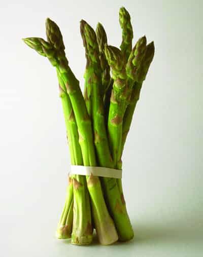 春季瘦身减肥食物与计划，让你强力消脂瘦到尖叫 减肥 第1张