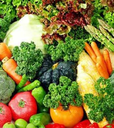 5种减肥食物搭配快速减肥法,一月暴瘦30斤不反弹 快速减肥 第1张-瘦瘦减肥网 5种减肥食物搭配快速减肥法,一月暴瘦30斤不反弹 快速减肥 第1张