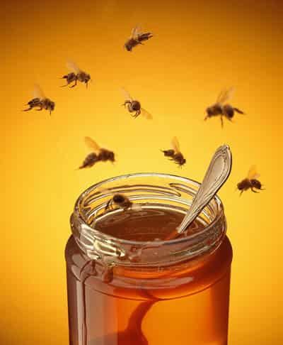 最新蜂蜜水三日减肥法,排毒养颜瘦身缺一不可 减肥方法 第1张-瘦瘦减肥网 最新蜂蜜水三日减肥法,排毒养颜瘦身缺一不可 减肥方法 第1张