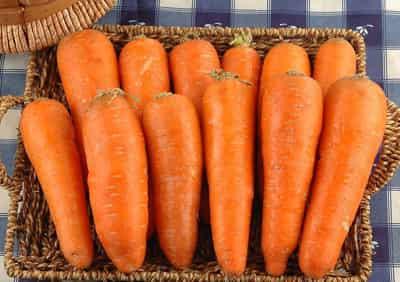 天天享瘦的胡萝卜减肥法,健康蔬菜减肥食谱 减肥食谱 第1张-瘦瘦减肥网 天天享瘦的胡萝卜减肥法,健康蔬菜减肥食谱 减肥食谱 第1张