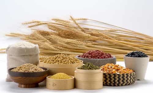 4款减肥食谱，瘦身纤体健康正确减肥方法 减肥食谱 第3张