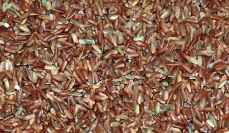 减肥专家7日瘦身餐，不吃药健康减肥方法甩掉8斤肉 饮食减肥 第5张