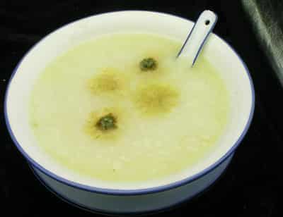 秋季快速减肥粥品食谱，教你如何健康瘦身不反弹 快速减肥 第2张