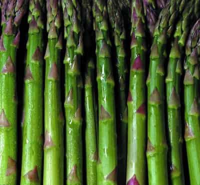 夏季蔬菜快速减肥瘦身法，超棒超有效减肥最快秘籍 快速减肥 第1张