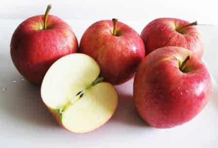 秋季减肥瘦身从食谱下手,从根本上改变肥胖体质 关于肥胖 第2张-瘦瘦减肥网 秋季减肥瘦身从食谱下手,从根本上改变肥胖体质 关于肥胖 第2张