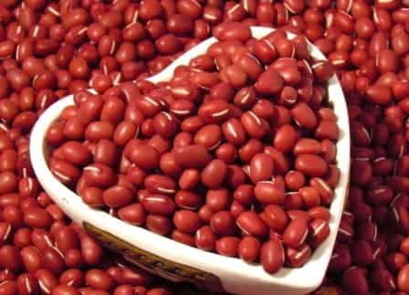 秋季减肥瘦身从食谱下手,从根本上改变肥胖体质 关于肥胖 第5张-瘦瘦减肥网 秋季减肥瘦身从食谱下手,从根本上改变肥胖体质 关于肥胖 第5张