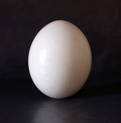 另类魔鬼减肥偏方法则，神奇快速甩脂掉肉不反弹 减肥 第1张