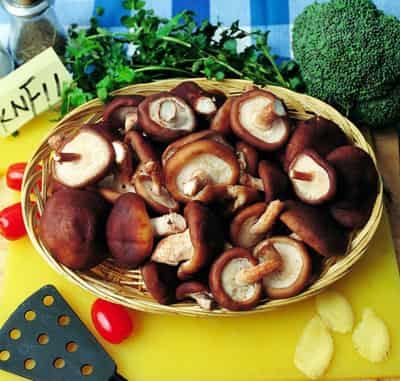 六款健康减肥瘦身食品，快速学会秋季减肥食谱 减肥食谱 第1张