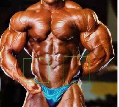 马甲线和人鱼线的区别，女生练人鱼线要慎重 减肚子 第6张