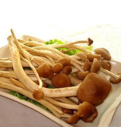 瘦身减肥食物有哪些，八种越吃越瘦的食物 饮食减肥 第8张