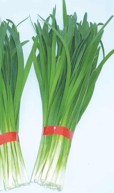 瘦身减肥食物有哪些，八种越吃越瘦的食物 饮食减肥 第4张