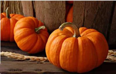 健康快速减肥食谱，一周瘦十斤不是梦 快速减肥 第1张