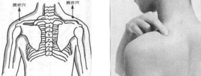 按哪个穴位可以丰胸，中医按摩丰胸穴位图详图解说 丰胸 第7张