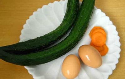 饮食减肥最快的秘诀，冬季减肥不想动饮食减肥来帮忙 减肥 第1张