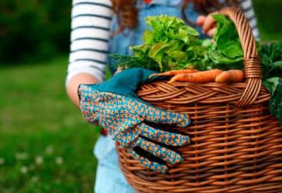 五种春季减肥最佳食品，轻松减肥营养又健康 减肥 第1张