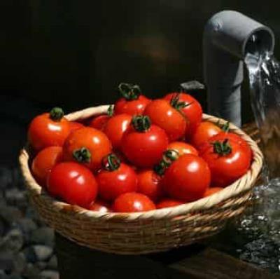 小番茄减肥法与食谱，一周瘦10斤不反弹 减肥食谱 第1张