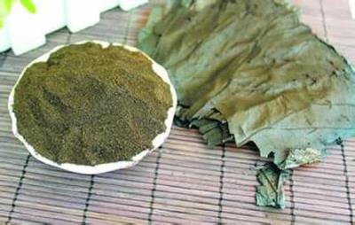 荷叶灰怎么喝才减肥，米汤调服比用水冲调效果好 减肥 第5张