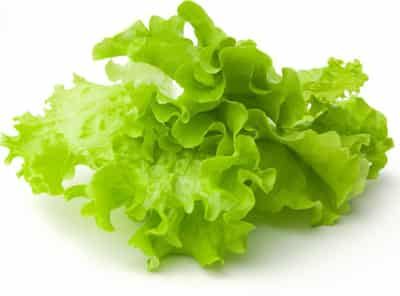 夏季减肥排毒餐排行榜，教你快速瘦身不二法宝 减肥 第1张