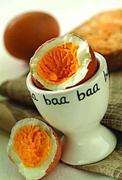 八种营养减肥养生排毒食物，推荐天然健康减肥瘦身零食 减肥 第1张