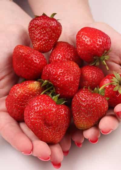 夏季减肥吃什么水果，推荐低卡低热量水果 饮食减肥 第6张