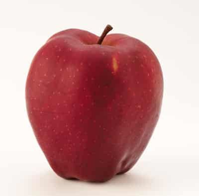 减肥瘦身食品有哪些，八大消脂食物帮你甩脂 减肥 第3张