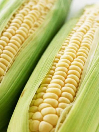 秋季减肥食品有哪些？秋季减肥食谱帮你甩秋膘 减肥食谱 第3张