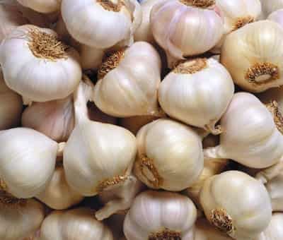 减肥瘦身食品有哪些，八大消脂食物帮你甩脂 减肥 第6张