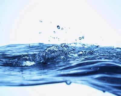 戳穿夏季减肥食品假面具，告诉你真正减肥食品有哪些 减肥 第3张