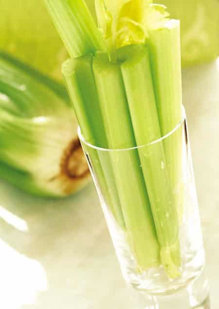 芹菜减肥法or食谱，懒人快速瘦身小妙招 懒人减肥 第1张