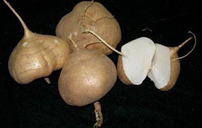 凉薯热量高吗，吃凉薯会胖吗 饮食减肥 第5张