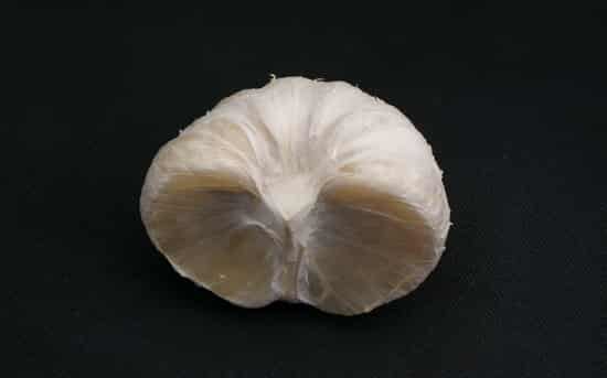 秋季吃什么水果可以减肥，越吃越瘦的柚子瘦身法 饮食减肥 第5张