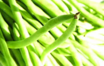 冬季女生减肥食物大综合，教你如何制定瘦身计划 减肥 第3张