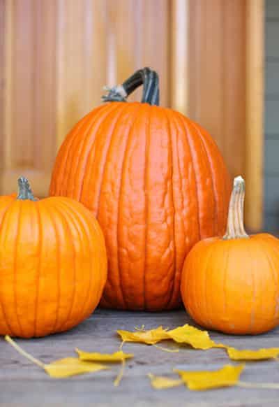 冬季女生减肥食物大综合，教你如何制定瘦身计划 减肥 第8张