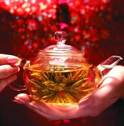 夏季自制减肥茶，美颜养生又瘦身 减肥饮品 第1张