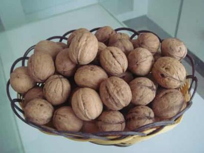 丰胸食品有哪些，可以丰胸的食物打造完美胸型 丰胸 第3张