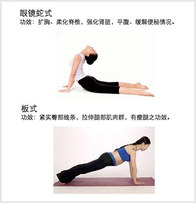 OL减肥瑜伽轻松练，告别Office久坐肥胖 瑜伽减肥 第2张
