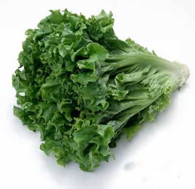 低热量减肥瘦身蔬菜排行榜，甩脂掉肉塑身缺一不可 减肥 第2张