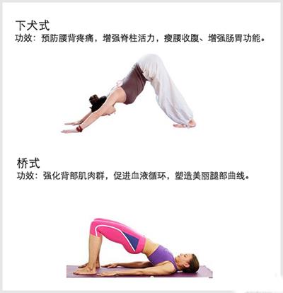 OL减肥瑜伽轻松练，告别Office久坐肥胖 瑜伽减肥 第1张