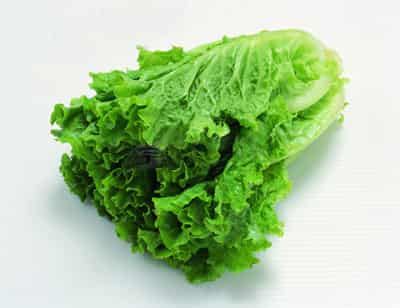 低热量减肥瘦身蔬菜排行榜，甩脂掉肉塑身缺一不可 减肥 第8张