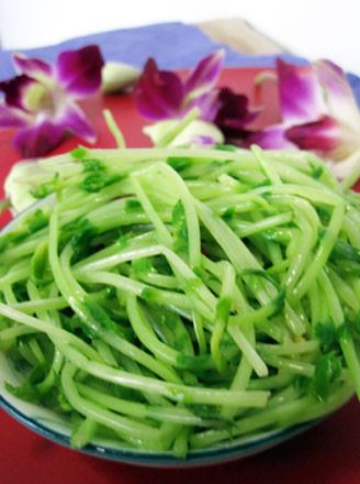 豆芽一周快速减肥食谱,低成本高回报的瘦身效果 快速减肥 第6张-瘦瘦减肥网 豆芽一周快速减肥食谱,低成本高回报的瘦身效果 快速减肥 第6张