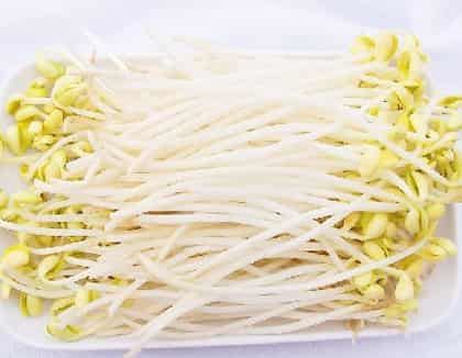 豆芽一周快速减肥食谱,低成本高回报的瘦身效果 快速减肥 第3张-瘦瘦减肥网 豆芽一周快速减肥食谱,低成本高回报的瘦身效果 快速减肥 第3张