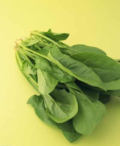 下半身肥胖怎么减,6种食物瘦出完美下半身 关于肥胖 第6张-瘦瘦减肥网 下半身肥胖怎么减,6种食物瘦出完美下半身 关于肥胖 第6张