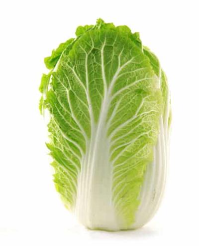 水煮大白菜减肥食谱，每日轻松瘦掉3~4斤 减肥食谱 第1张