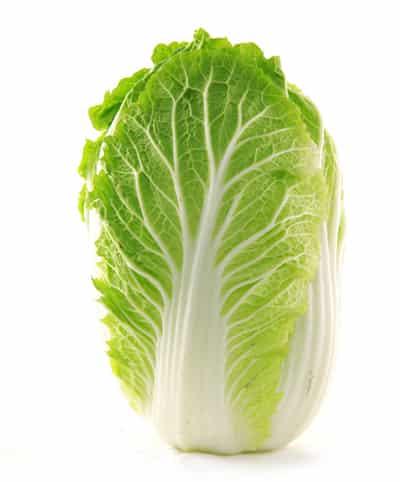 水煮大白菜减肥食谱,穷人懒人最佳减肥法 减肥食谱 第1张-瘦瘦减肥网 水煮大白菜减肥食谱,穷人懒人最佳减肥法 减肥食谱 第1张