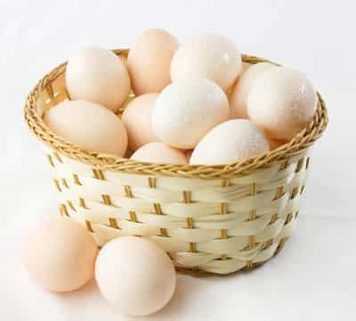 高蛋白质鸡蛋减肥食谱，搭配蔬果健康营养周瘦5KG 减肥食谱 第3张